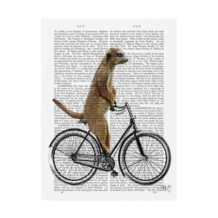Fab Funky 'Meerkat On Bicycle' Canvas Art,14x19